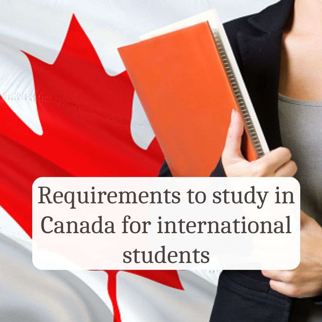 requirements for phd in canada for international students